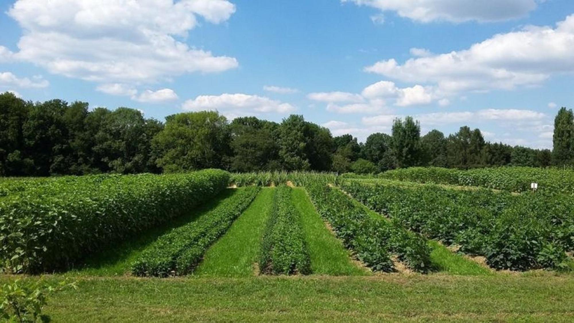 Bauernhof Sesterhenn Leichlingen Extérieur photo